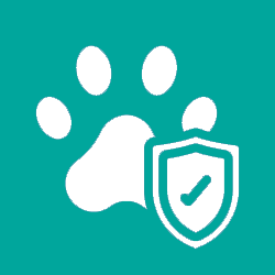 Pet Insurance